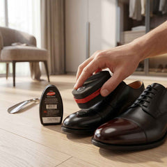 Black Shoe Shiner Ð Instant Gloss & Easy Portable Care