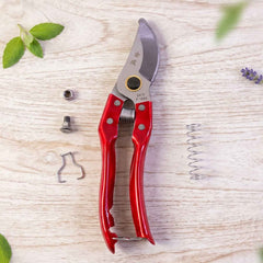 Garden Pruning Shears Ð Precise Bypass Secateurs for Plants