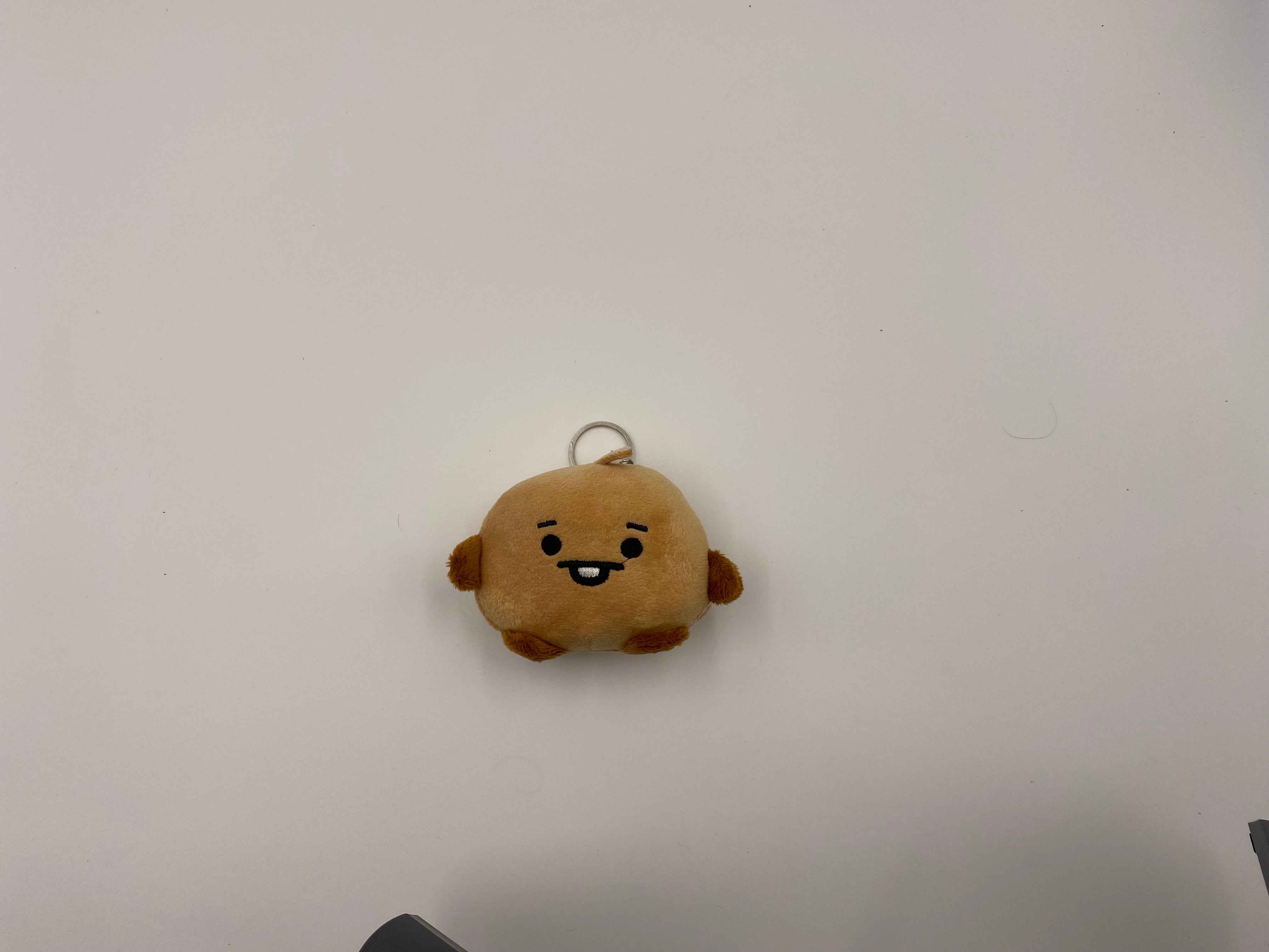 Cute BTS keychain (1028)