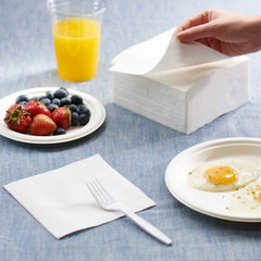 Disposable Tissue Napkins – Soft, Absorbent 75 Pack
