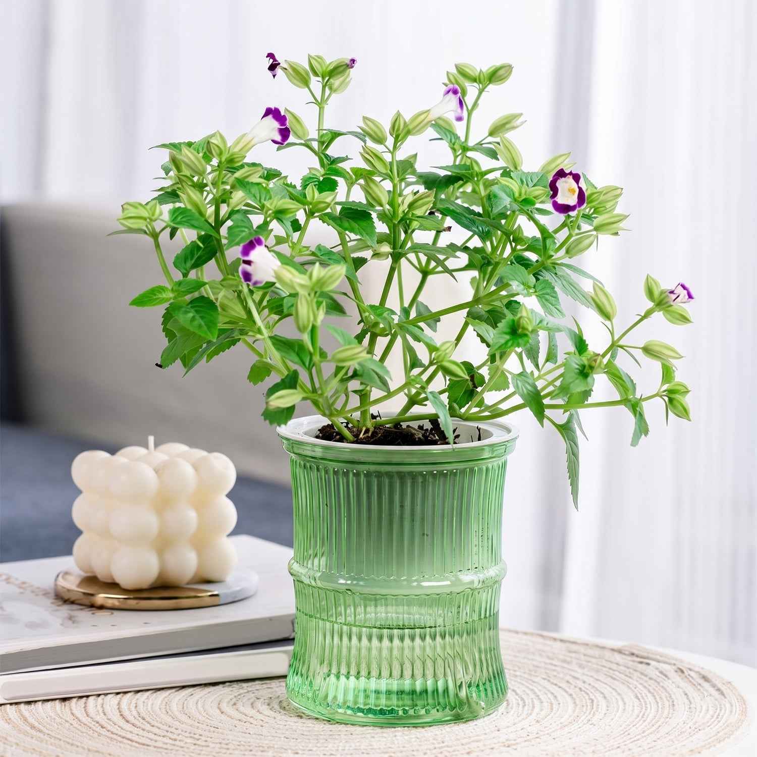 Self-Watering Bamboo Style Plastic Flower Pot Ð Easy Indoor Plant Care