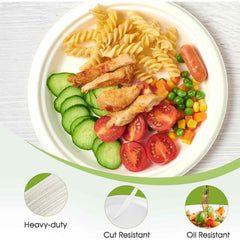 Disposable Round Food Serving Plate – 10 Pc Lightweight Set