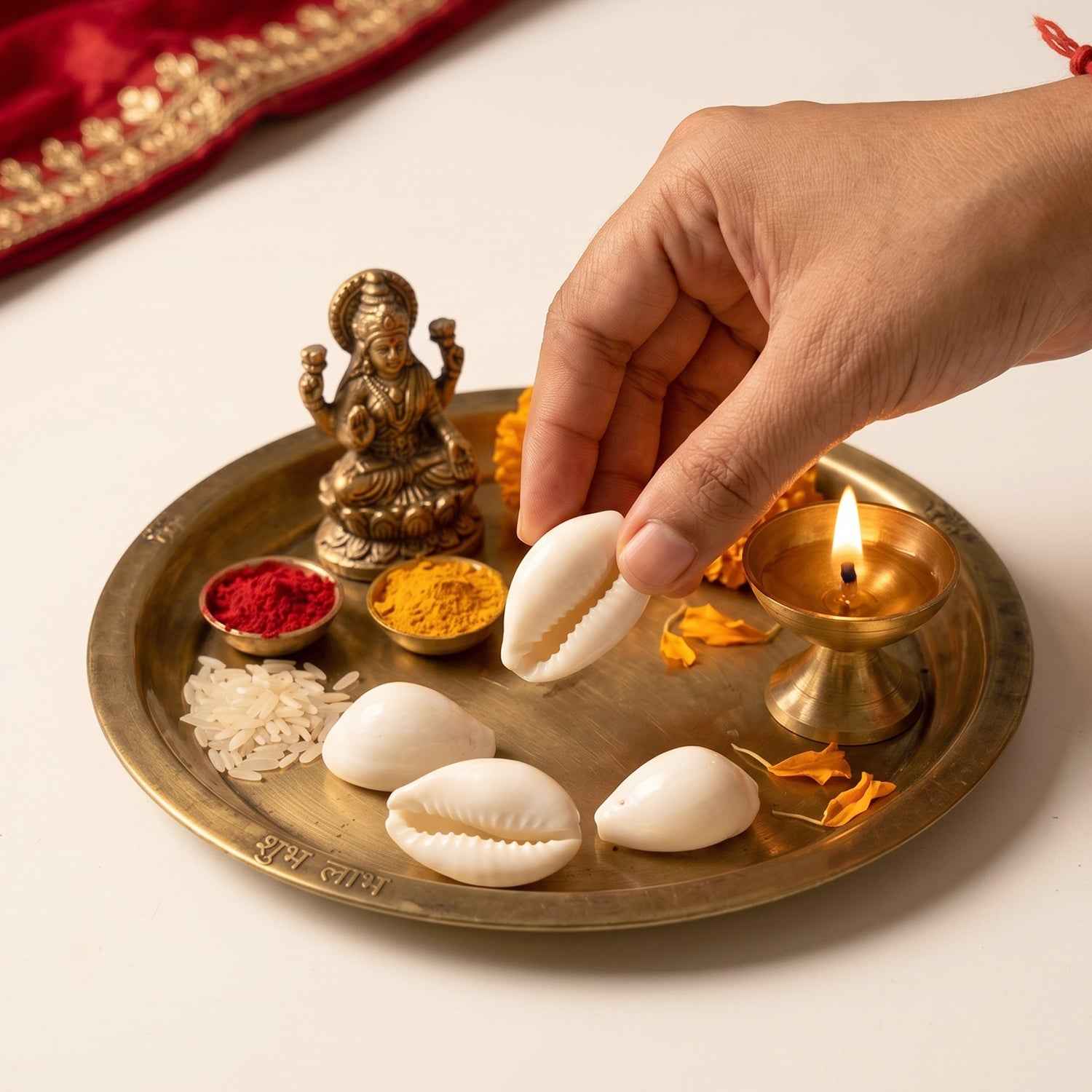 Natural Kaudi Cowrie Shells – Ideal for Pooja & Decor