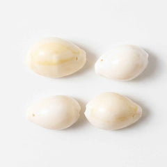 Natural Kaudi Cowrie Shells – Ideal for Pooja & Decor