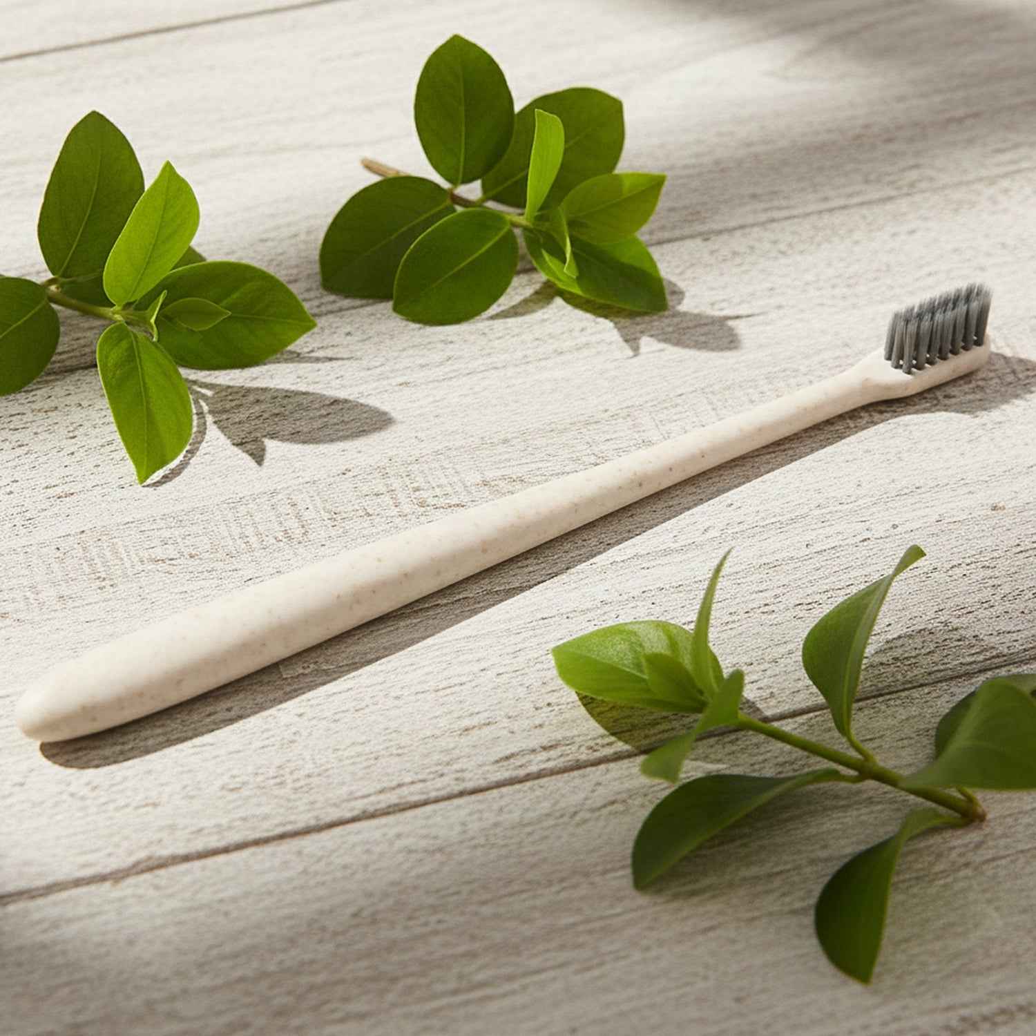 Soft-bristle Toothbrush – Wheat Straw for Gentle Care | MintGuard