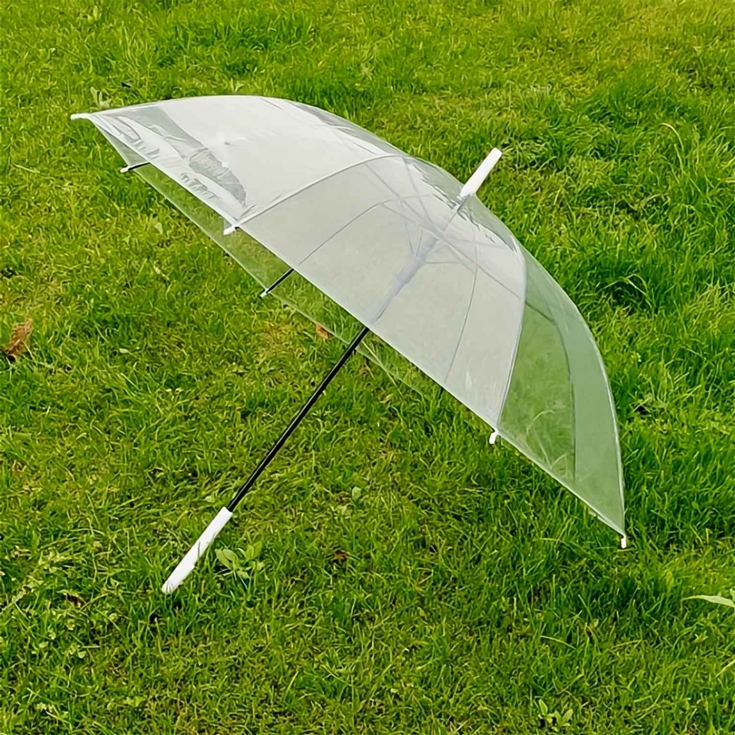 Transparent Dome Umbrella – Windproof with Comfortable Curved Handle