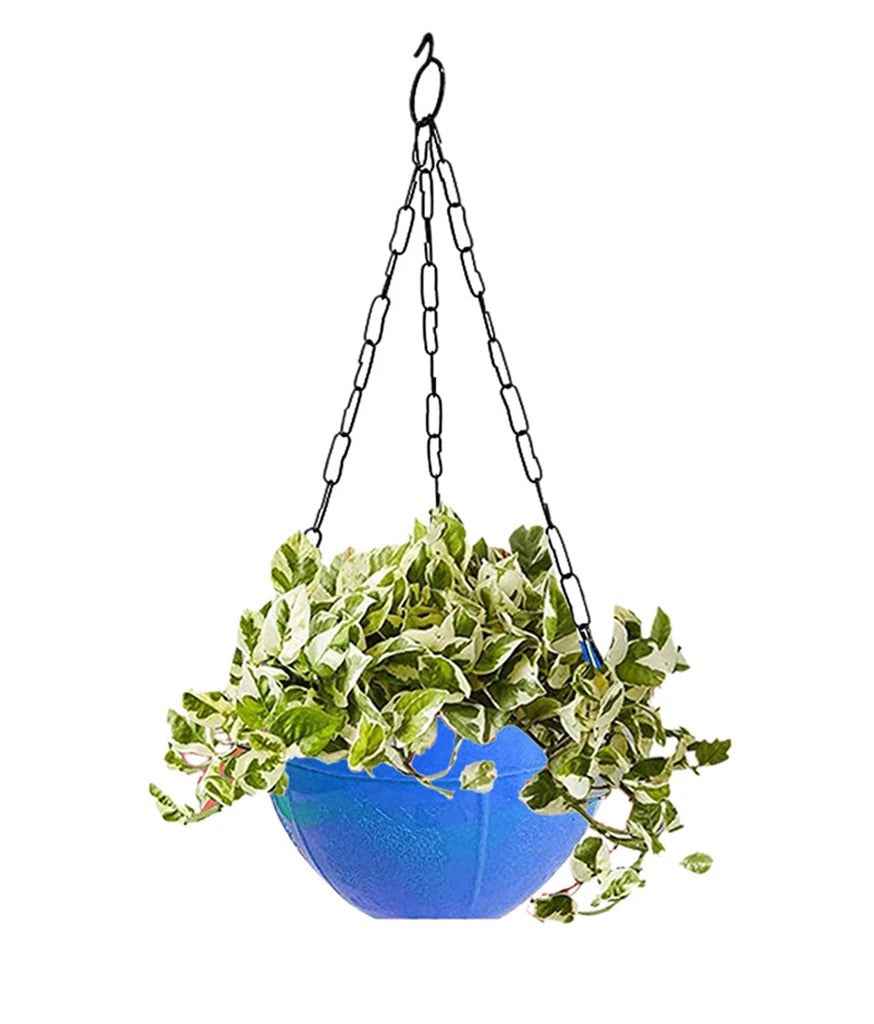 Hanging Flower Pot – Plastic with Chain for Balcony & Garden | Gambit