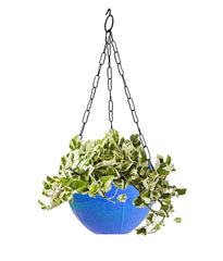 Hanging Flower Pot – Plastic with Chain for Balcony & Garden | Gambit
