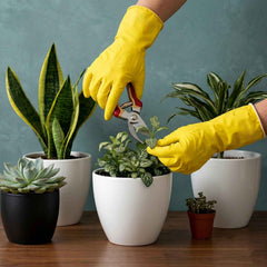 Waterproof Cleaning Rubber Gloves Ð Reusable & Durable for Household Tasks