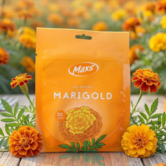Marigold Gel Air Freshener Ð Long-lasting Refreshing Fragrance