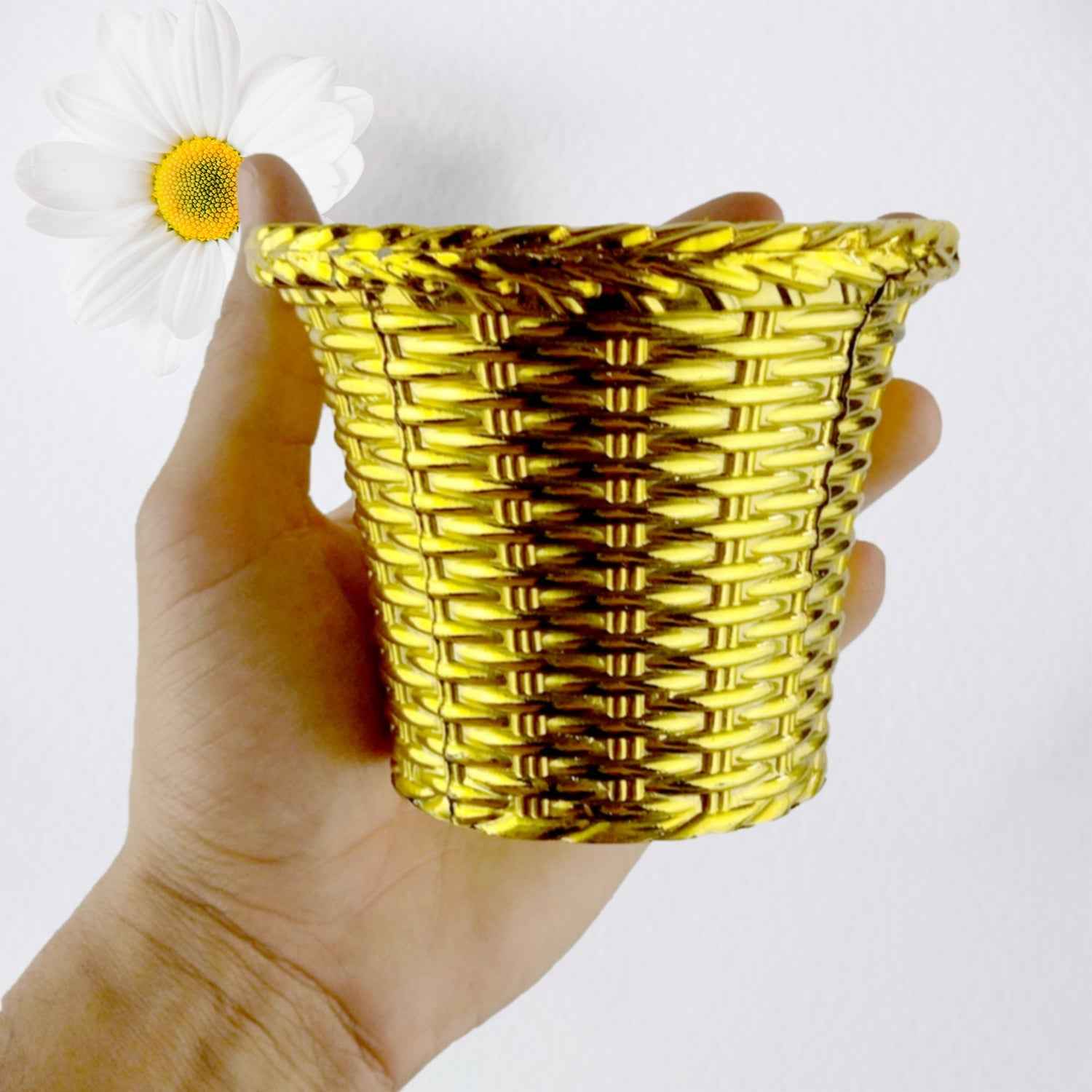Valencia Plastic Flower Pot – Durable Indoor & Outdoor Planter