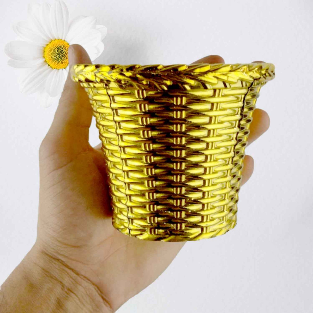 Valencia Plastic Flower Pot – Durable Indoor & Outdoor Planter