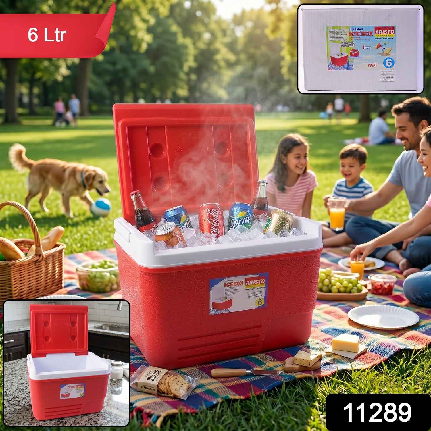 Heavy Duty Ice Box Cooler Ð 6 Ltr Travel & Outdoor Use